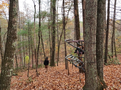 34+/- Acres of Unrestricted Land for Sale in NC Foothills! - image 22