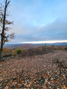 34+/- Acres of Unrestricted Land for Sale in NC Foothills! - image 16