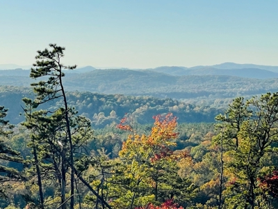 34+/- Acres of Unrestricted Land for Sale in NC Foothills! - image 4