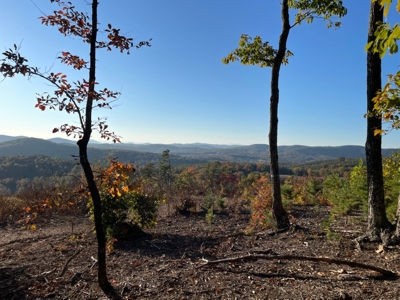 34+/- Acres of Unrestricted Land for Sale in NC Foothills! - image 8