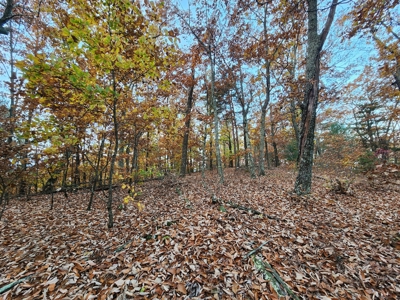 34+/- Acres of Unrestricted Land for Sale in NC Foothills! - image 14