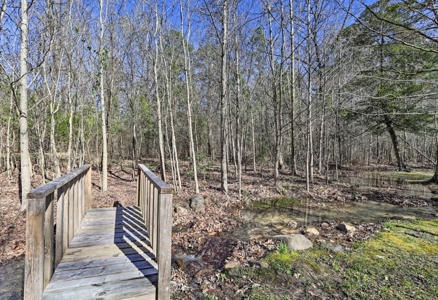 The Cabin at Three Waters - National Forest & Kiamichi River - image 40