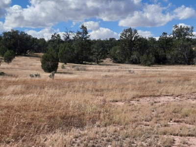 Very Secluded - image 10