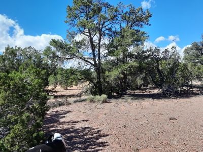 Very Secluded - image 6