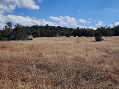 Very Secluded - image 12