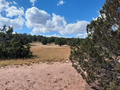 Very Secluded - image 4