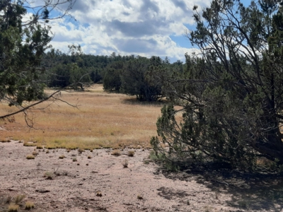 Very Secluded - image 9