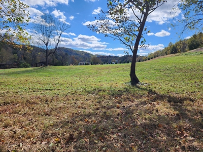 Trout Fishing Dream Cabin and Camp site in Western NC! - image 7