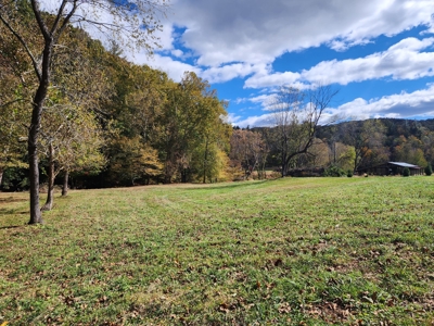 Trout Fishing Dream Cabin and Camp site in Western NC! - image 8