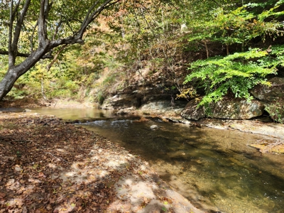 Trout Fishing Dream Cabin and Camp site in Western NC! - image 6