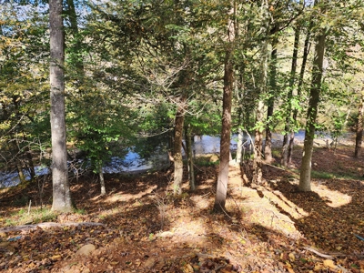 Trout Fishing Dream Cabin and Camp site in Western NC! - image 2