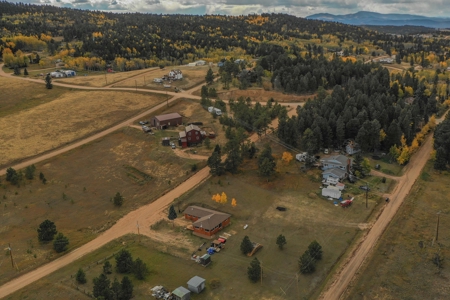 Beautifully Remodeled Colorado Mountain Home With Peak Views - image 38