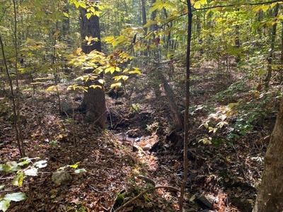 Occoneechee Ridge In Clarksville, VA - image 2