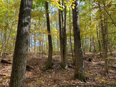Occoneechee Ridge In Clarksville, VA - image 11
