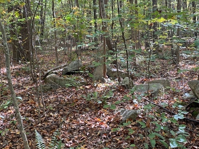 Occoneechee Ridge In Clarksville, VA - image 5