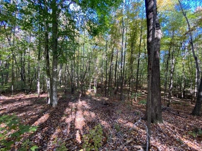 Occoneechee Ridge In Clarksville, VA - image 9