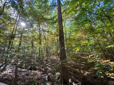 Occoneechee Ridge In Clarksville, VA - image 3