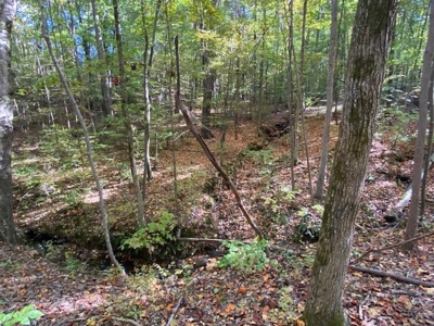 Occoneechee Ridge In Clarksville, VA - image 7