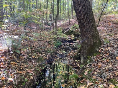 Occoneechee Ridge In Clarksville, VA - image 6