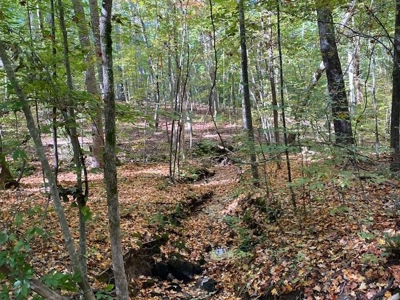 Occoneechee Ridge In Clarksville, VA - image 1