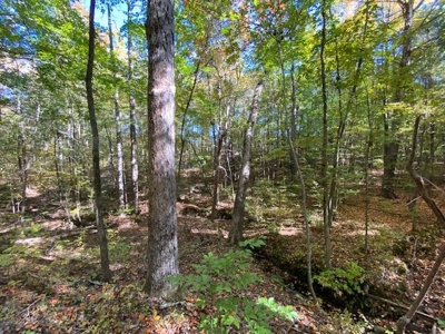 Occoneechee Ridge In Clarksville, VA - image 8
