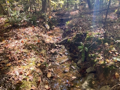 Occoneechee Ridge In Clarksville, VA - image 4