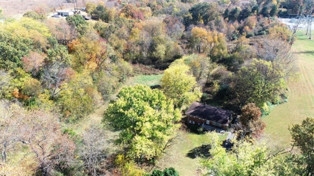 Baby farm, for sale, in city limits, Bowling Green KY. 42101 - image 5