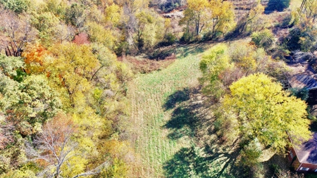 Baby farm, for sale, in city limits, Bowling Green KY. 42101 - image 3
