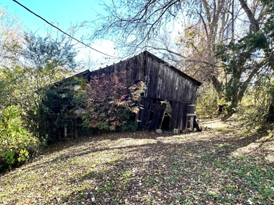 Baby farm, for sale, in city limits, Bowling Green KY. 42101 - image 22