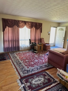 Baby farm, for sale, in city limits, Bowling Green KY. 42101 - image 12