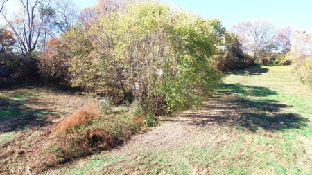 Baby farm, for sale, in city limits, Bowling Green KY. 42101 - image 9
