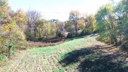 Baby farm, for sale, in city limits, Bowling Green KY. 42101 - image 4