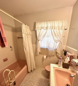 Baby farm, for sale, in city limits, Bowling Green KY. 42101 - image 14