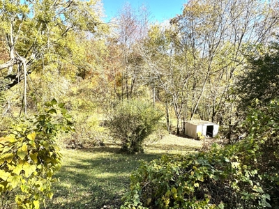 Baby farm, for sale, in city limits, Bowling Green KY. 42101 - image 23