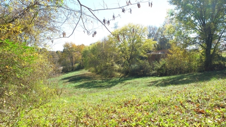 Baby farm, for sale, in city limits, Bowling Green KY. 42101 - image 8