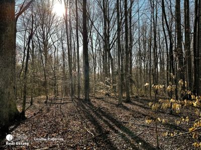 Rowan County and Tract and Homesite - image 4