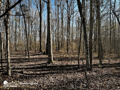 Rowan County and Tract and Homesite - image 3