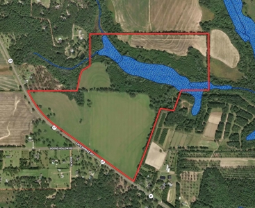 167ac For Sale N of Geneva Alabama - Farmland Geneva County - image 24