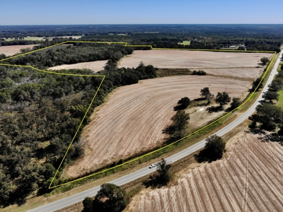 167ac For Sale N of Geneva Alabama - Farmland Geneva County - image 6
