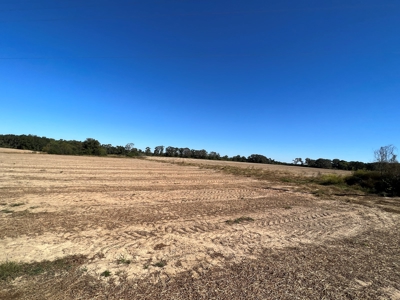 167ac For Sale N of Geneva Alabama - Farmland Geneva County - image 19