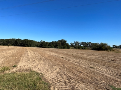 167ac For Sale N of Geneva Alabama - Farmland Geneva County - image 18