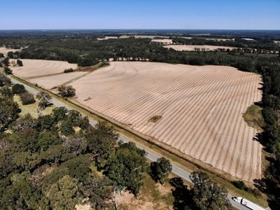 167ac For Sale N of Geneva Alabama - Farmland Geneva County - image 23
