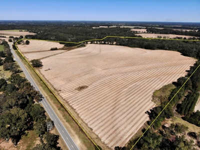 167ac For Sale N of Geneva Alabama - Farmland Geneva County - image 1