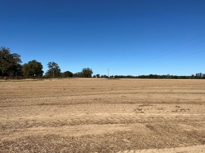 167ac For Sale N of Geneva Alabama - Farmland Geneva County - image 15