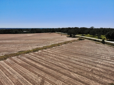 167ac For Sale N of Geneva Alabama - Farmland Geneva County - image 13