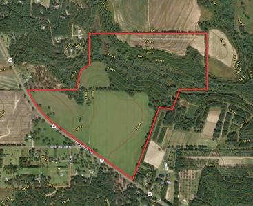 167ac For Sale N of Geneva Alabama - Farmland Geneva County - image 10
