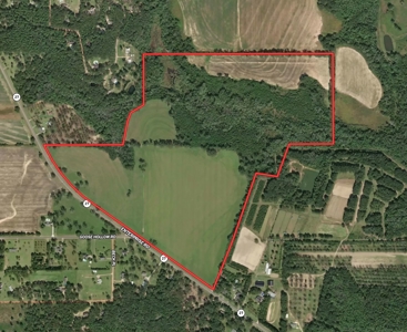 167ac For Sale N of Geneva Alabama - Farmland Geneva County - image 9