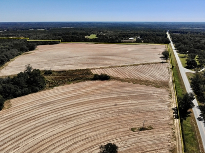 167ac For Sale N of Geneva Alabama - Farmland Geneva County - image 12
