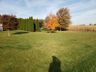 Elchert Estate Auction- Sat. Nov. 26Th @ 9:30Am - image 8