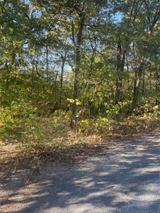 Land For Sale in Pryor OK on Lake Hudson - image 4